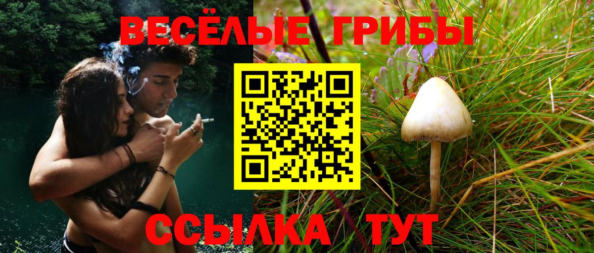 Псилоцибиновые грибы мухоморы  Псилоцибиновые грибы MAGIC MUSHROOMS  Вход с VPN  Усолье-Сибирское 
