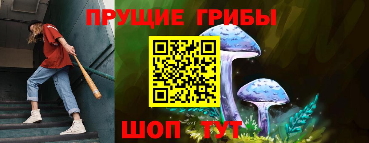 Псилоцибиновые грибы GOLDEN TEACHER Усолье-Сибирское